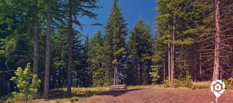 Profitable U.S. land—flipped remotely from overseas.